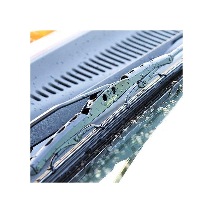 Gy Escobillas Classic 24" 60 cm Cs10 GODESC91760