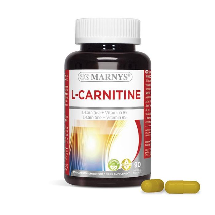 L-Carnitina + Vitamina B5 L-Carnitina + Vitamina B5
