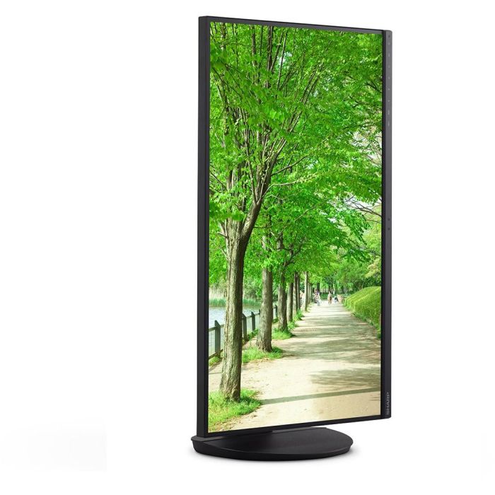 NEC EA272Q Monitor 27" IPS QHD Negro 5