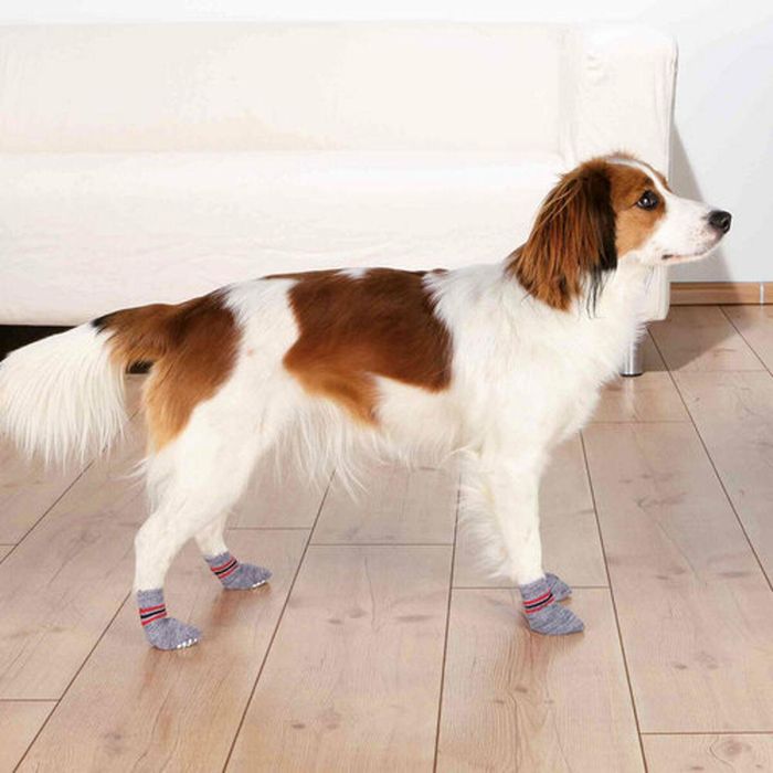 Calcetines Trixie Gris XL Perro 1 Calcetines Trixie Gris XL Perro 1