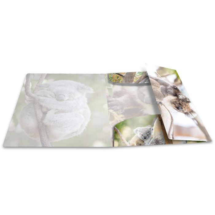 HERMA Sammelmappe A4 Glossy Koala Polypropylen 2 HERMA Sammelmappe A4 Glossy Koala Polypropylen 2