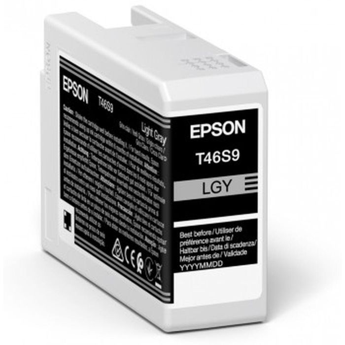 EPSON Singlepack Light Gray T46S9 UltraChrome Pro 10 ink 25ml SC-P700