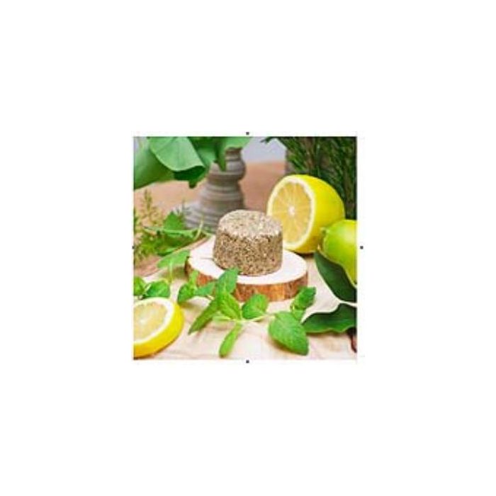 Champu Solido Antigrasa 85Gr.