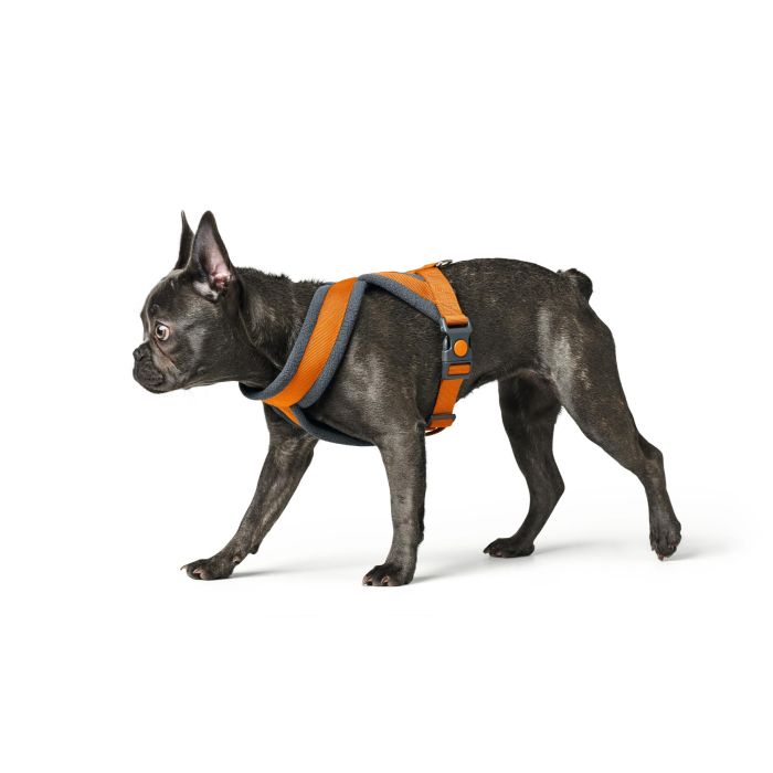 Arnés para Perro Hunter London Comfort Naranja M 57-70 cm 1