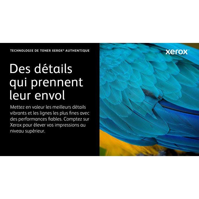 Xerox 006R04399 Cartucho de Tóner Negro Estándar (1200 Páginas) Compatible con Impresoras Xerox B225, B230 y B235 18