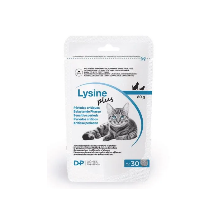 Lysine Plus Sac 30x2 gr