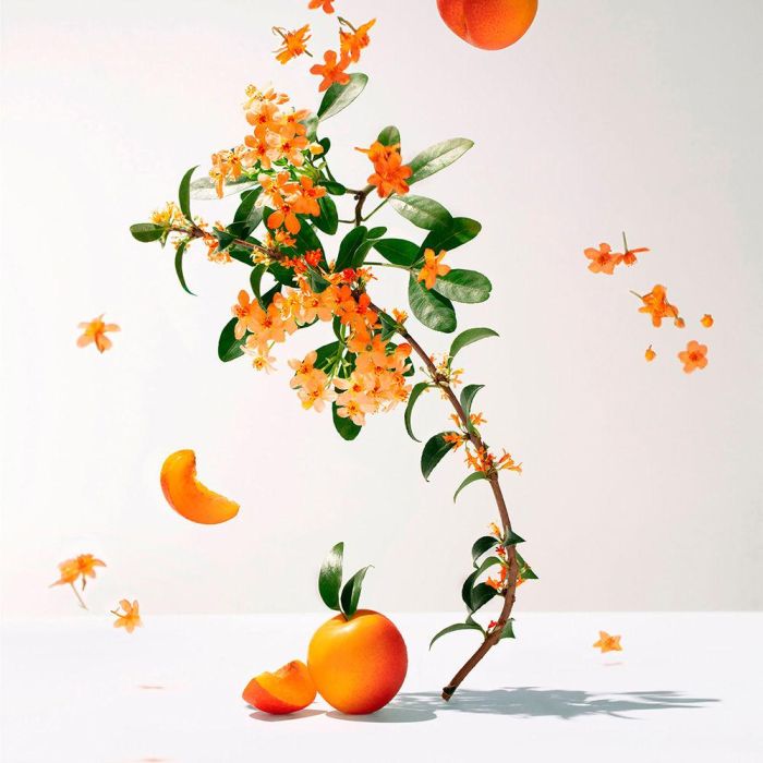 Roger & Gallet Fleur d'Osmanthus Eau de Toilette Mujer 100 ml