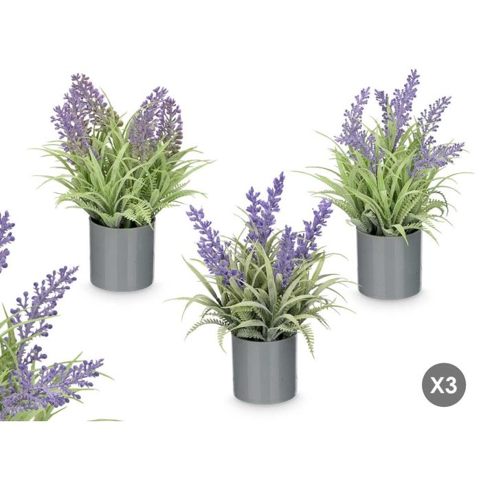 Maceta Cilindro Lavanda Surtidos Ibergarden 15 cm x 21 cm x 15 cm Plástico Cemento Corcho Morado Verde (Set de 36)