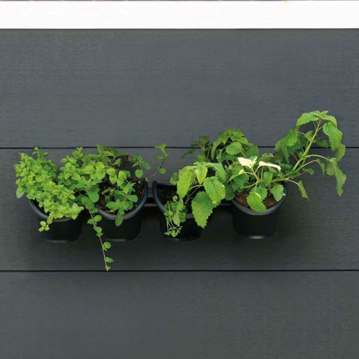 Jardinera de pared - Kit de pared compuesto por soporte de pared y 4 maceteros (1 L) - Negro - Dim A 15 x L 60 cm - NATURE 3