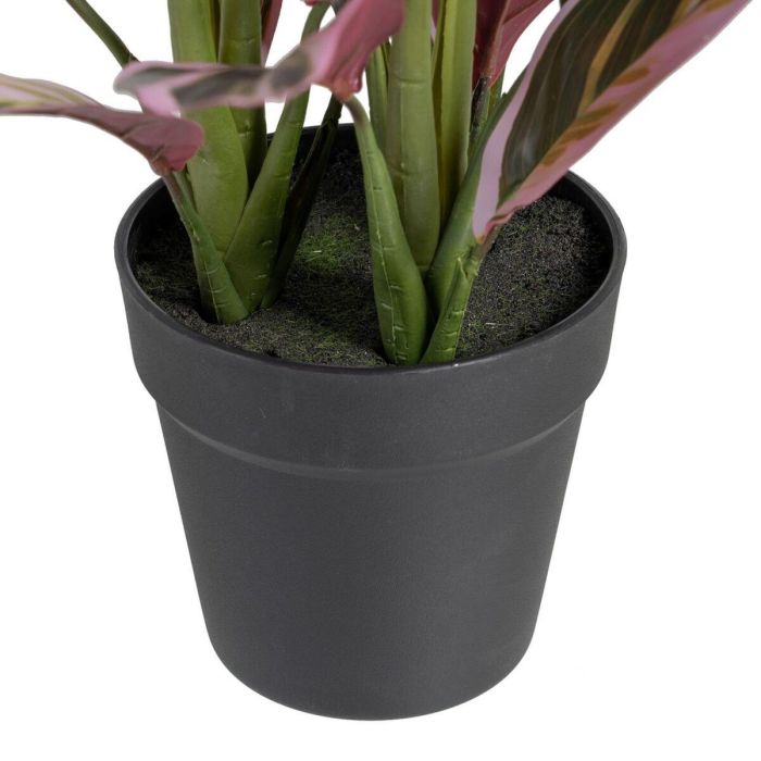 Planta Decorativa 44 x 39 x 48 cm Rosa Verde PVC 1