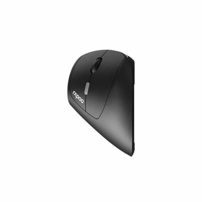 Ratón inalámbrico - RAPOO - EV250 - Ergonómico - 1600 DPI - Clic silencioso 3 Ratón inalámbrico - RAPOO - EV250 - Ergonómico - 1600 DPI - Clic silencioso 3
