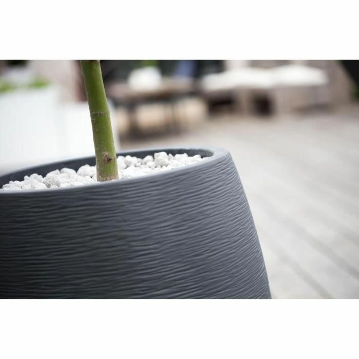 EDA 13737GANTPX12 Maceta Redonda Grafito Ø50cm, 53L, Gris Antracita 2 EDA 13737GANTPX12 Maceta Redonda Grafito Ø50cm, 53L, Gris Antracita 2