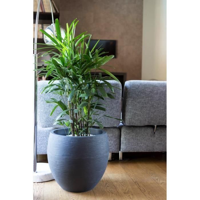 EDA Graphit maceta redonda Ø50cm - Capacidad 46L - Gris antracita 3 EDA Graphit maceta redonda Ø50cm - Capacidad 46L - Gris antracita 3