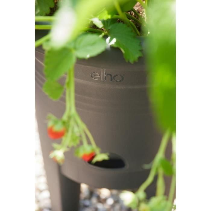 ELHO Green Basics Maceta Fresa 33 - Negro - Ø 33 x H 42 cm - cultivo y cosecha exterior - 100% reciclado 2 ELHO Green Basics Maceta Fresa 33 - Negro - Ø 33 x H 42 cm - cultivo y cosecha exterior - 100% reciclado 2