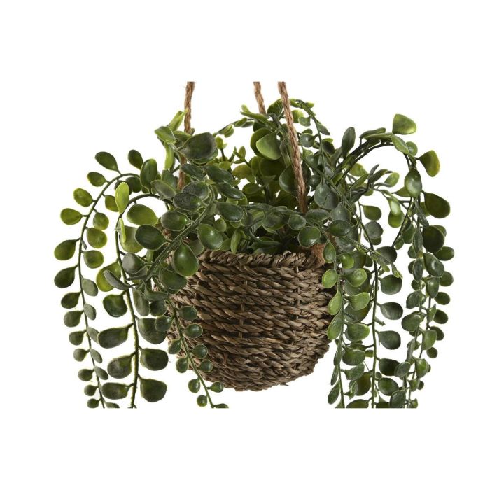 Planta DKD Home Decor Verde Natural 16 x 70 x 16 cm (2 Unidades) 3