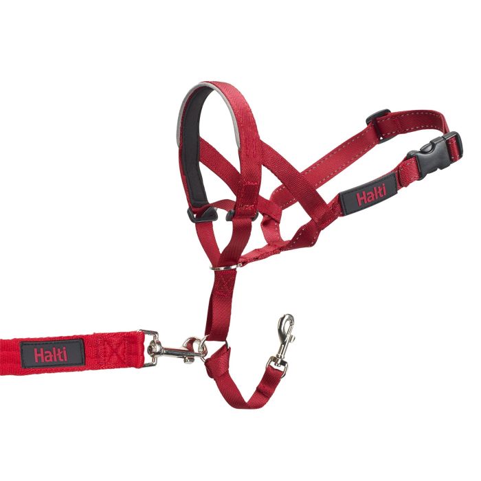 Bozal Halti Headcollar Rojo Talla 4 5 Bozal Halti Headcollar Rojo Talla 4 5