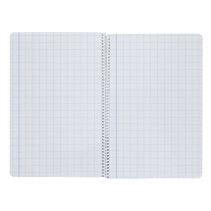 Liderpapel Cuaderno espiral folio tapa blanda 80 hojas 60gr milimetrado 2mm colores surtidos 9