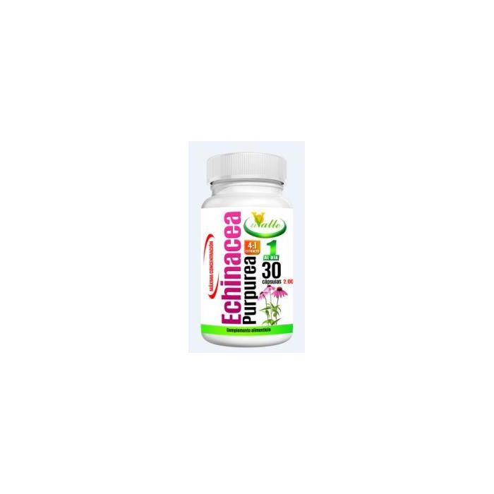 Echinacea 30Cap. Echinacea 30Cap.