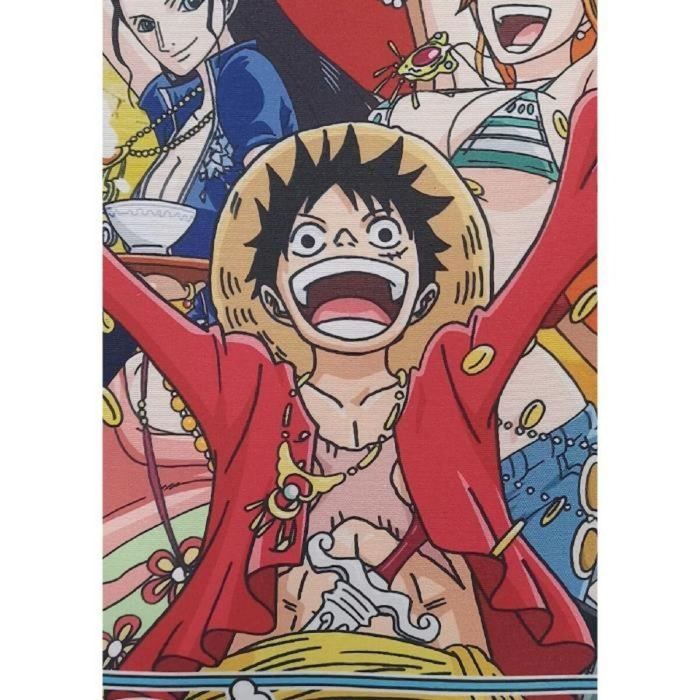 Cojín One Piece 3 Cojín One Piece 3