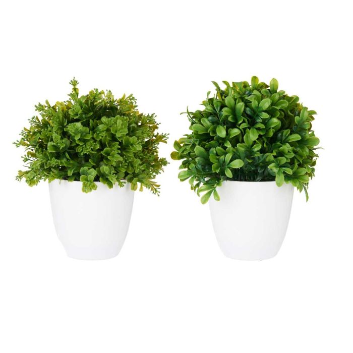Maceta Plastico Grande Flores Verdes Surtidos Ibergarden 22X29CM (6 Unidades) 1 Maceta Plastico Grande Flores Verdes Surtidos Ibergarden 22X29CM (6 Unidades) 1
