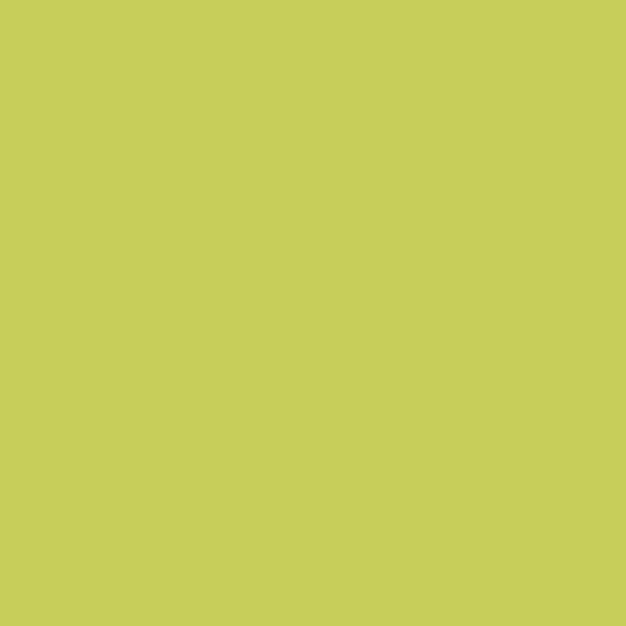 Funda de almohada Happy Home MIX COLORS Pistacho 1 Funda de almohada Happy Home MIX COLORS Pistacho 1