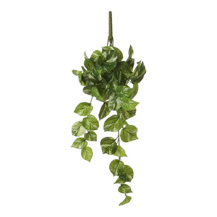 Mica Decorations Potos colgante verde 14x58x20cm 0 Mica Decorations Potos colgante verde 14x58x20cm 0