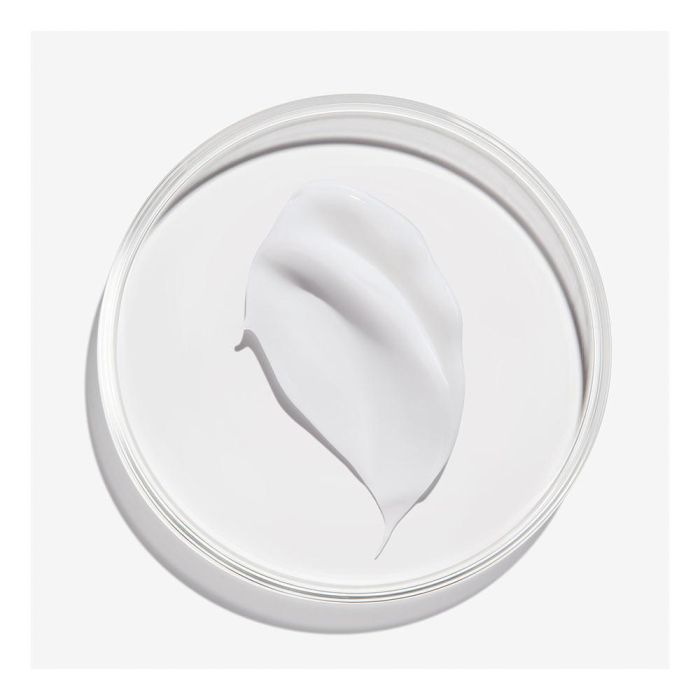 Redken Frizz Dismiss Tratamiento Sin Aclarado 250ml Antiencrespamiento Cabello Grueso Indisciplinado Nuevo Formato 1