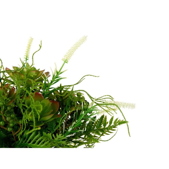 Copa Plastico Clasica Con Plantas Verdes Pequeña Ibergarden 34X39CM (6 Unidades) 2 Copa Plastico Clasica Con Plantas Verdes Pequeña Ibergarden 34X39CM (6 Unidades) 2