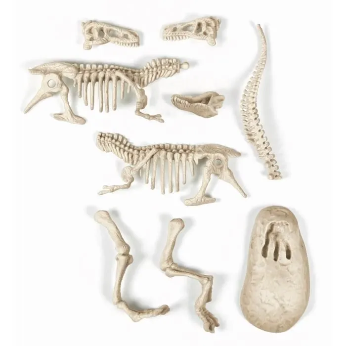 Clementoni Archéo Ludic T-Rex fosforescente - Kit de excavación de fósiles para niños a partir de 7 años 4