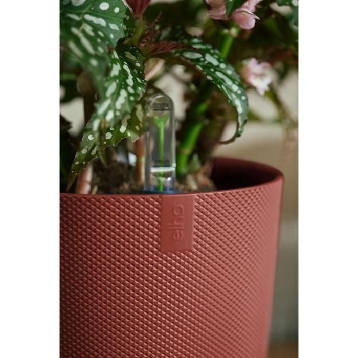 Maceta - Elho - Jazz Redonda - Roja - Ø 26 x H 24 cm - Interior - 100% reciclada 5 Maceta - Elho - Jazz Redonda - Roja - Ø 26 x H 24 cm - Interior - 100% reciclada 5