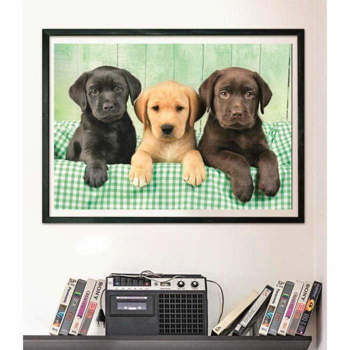 Clementoni CLE8005125399468 Puzzle Compacto 1000 piezas Tres Laboratorios 3 Clementoni CLE8005125399468 Puzzle Compacto 1000 piezas Tres Laboratorios 3