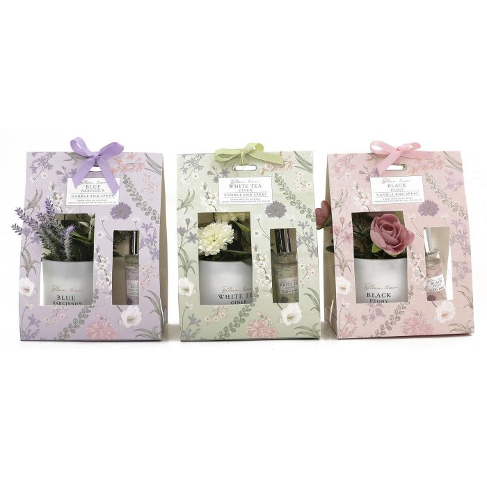 Ambientador Mikado Shabby DKD Home Decor Lila Verde 9 x 22 x 16 cm Set de 2 (3 Unidades) Ambientador Mikado Shabby DKD Home Decor Lila Verde 9 x 22 x 16 cm Set de 2 (3 Unidades)