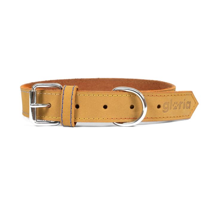 Gloria Collar para Perro Oasis de Piel Nobuck, Doble Capa y Costura Reforzada, Tacto Suave, Amarillo 55 cm x 25 mm 5 Gloria Collar para Perro Oasis de Piel Nobuck, Doble Capa y Costura Reforzada, Tacto Suave, Amarillo 55 cm x 25 mm 5