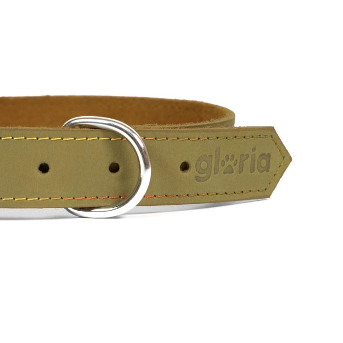 Gloria Collar Oasis 45 cm X 18 mm Verde para Perros de Piel Nobuck con Doble Capa y Costura Reforzada 4 Gloria Collar Oasis 45 cm X 18 mm Verde para Perros de Piel Nobuck con Doble Capa y Costura Reforzada 4