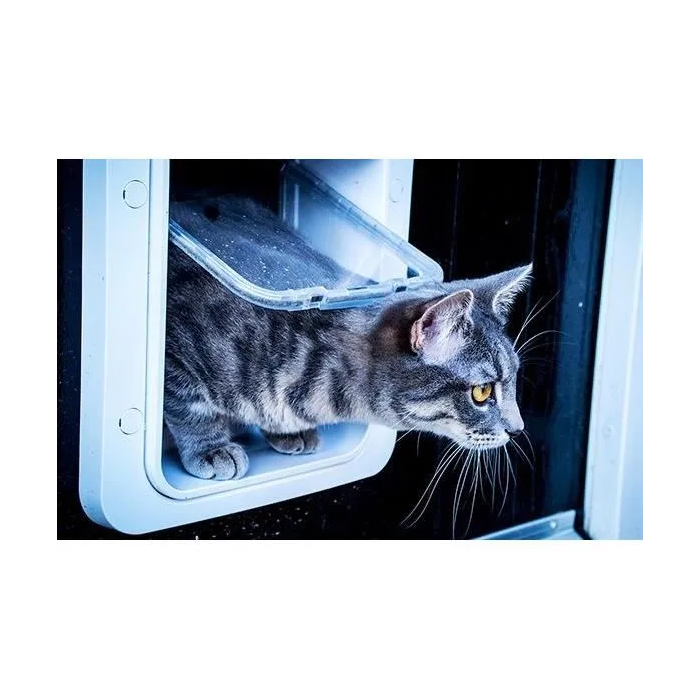 Sureflap Solapa de Gato Grande con Microchip Electrónico - Blanco 2 Sureflap Solapa de Gato Grande con Microchip Electrónico - Blanco 2