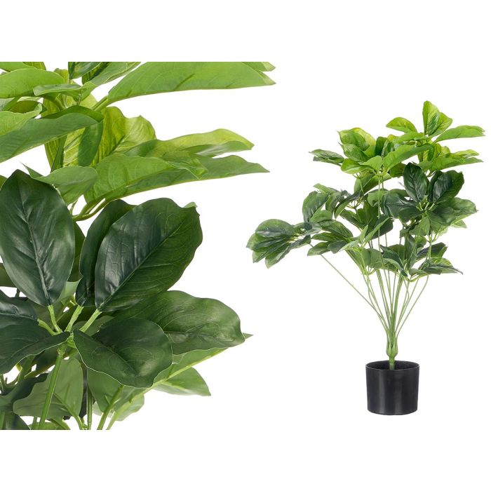 Ibergarden Maceta Grande de Plástico con Diseño de Hojas Ovaladas, Color Verde y Negro, Altura 80 cm (Set de 6) Ibergarden Maceta Grande de Plástico con Diseño de Hojas Ovaladas, Color Verde y Negro, Altura 80 cm (Set de 6)