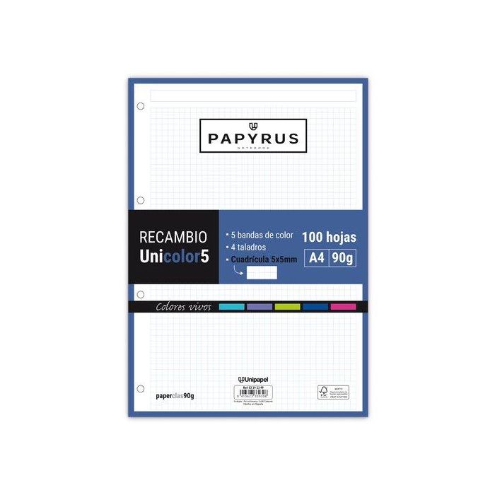 Recambio Papyrus Unicolor5 A4 100H 90G 4 Taladros Cuad.5X5 Colores Vivos (Set de 24)