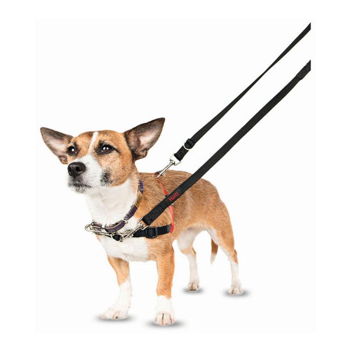 Halti Arnés de Control Delantero, ideal para Perros Medianos y Grandes, Talla L (cintura 80-120cm), Negro-Rojo 7