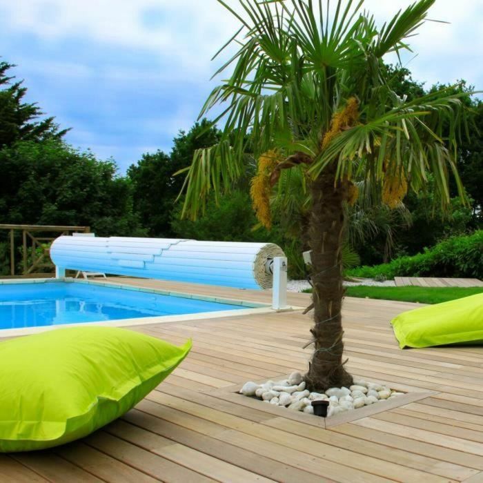 Fartools 115019 Kit Renovador de Suelos Grande de Pie para Terraza y Parquet + 2 Cepillos Latón + 2 Cepillos Alambre Abrasivos 2 Fartools 115019 Kit Renovador de Suelos Grande de Pie para Terraza y Parquet + 2 Cepillos Latón + 2 Cepillos Alambre Abrasivos 2