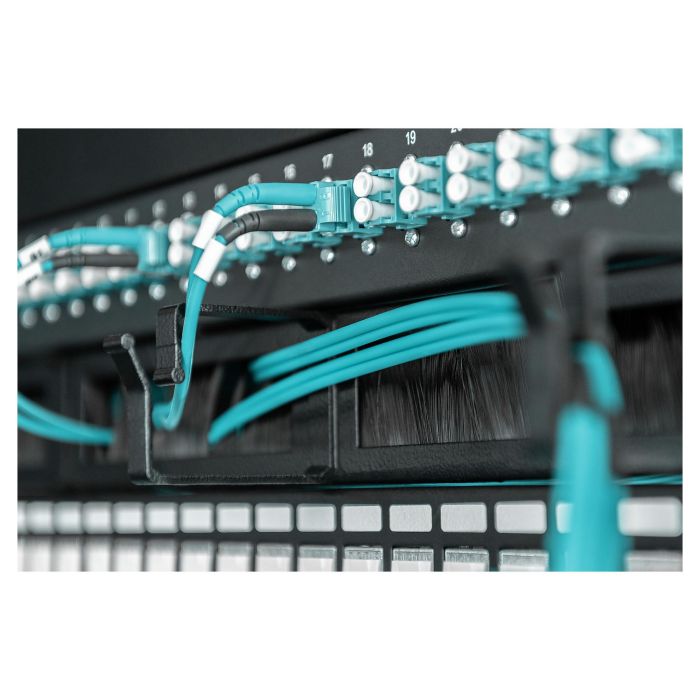 Digitus 1U cable management panel with brush entries 4x 1
