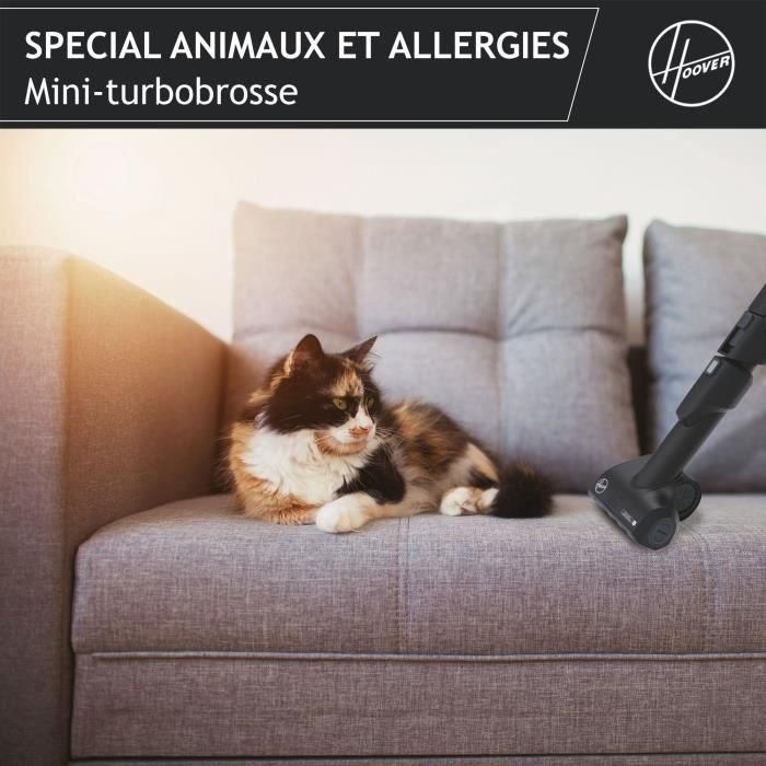 Hoover He530alg Solder Aspiradora con bolsa, poderoso 850 W, silenciador 69dB, alergia especial de 3.5l 3.5L y pelos de animales 3 Hoover He530alg Solder Aspiradora con bolsa, poderoso 850 W, silenciador 69dB, alergia especial de 3.5l 3.5L y pelos de animales 3
