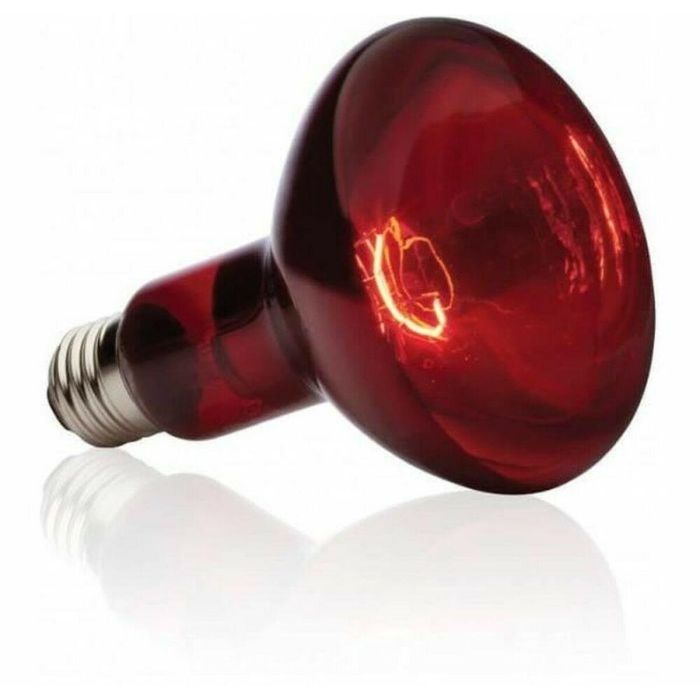 Exo Terra Lámpara Infrarroja Basking Spot 75W - Bombilla Calefactora con Reflector Incorporado para Aportar Calor Direccional a Reptiles y Terrarios
