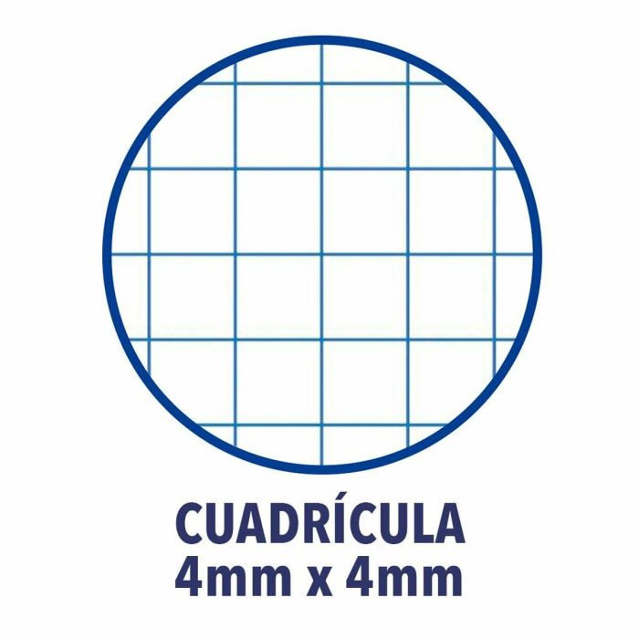 Cuaderno ENRI A4 Azul (10 Unidades) 2 Cuaderno ENRI A4 Azul (10 Unidades) 2