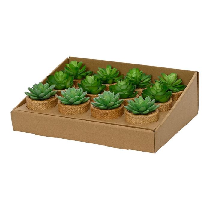 Planta suculenta artificial de 10cm modelos surtidos 809279 4