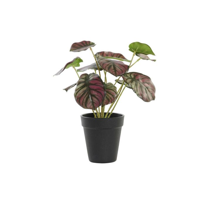 Planta Decorativa DKD Home Decor Rosa Verde PE (10 x 10 x 27 cm)