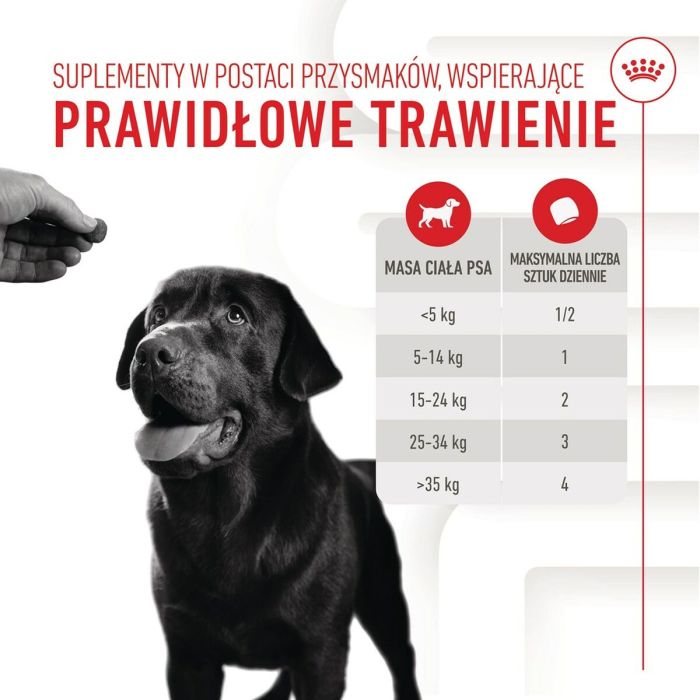 Snack para Perros Royal Canin Supplements Dog Digestion Adult 160 g 8 Snack para Perros Royal Canin Supplements Dog Digestion Adult 160 g 8