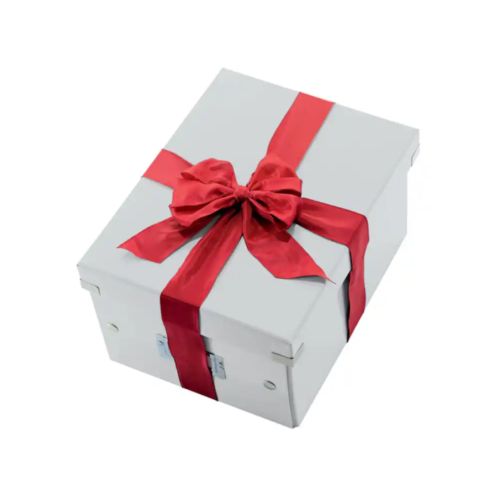 Caja Para Almacenamiento Leitz Click&Store 85% Carton Reciclado 7 Litros Pequeña 216X160X282 Mm Blanco 6