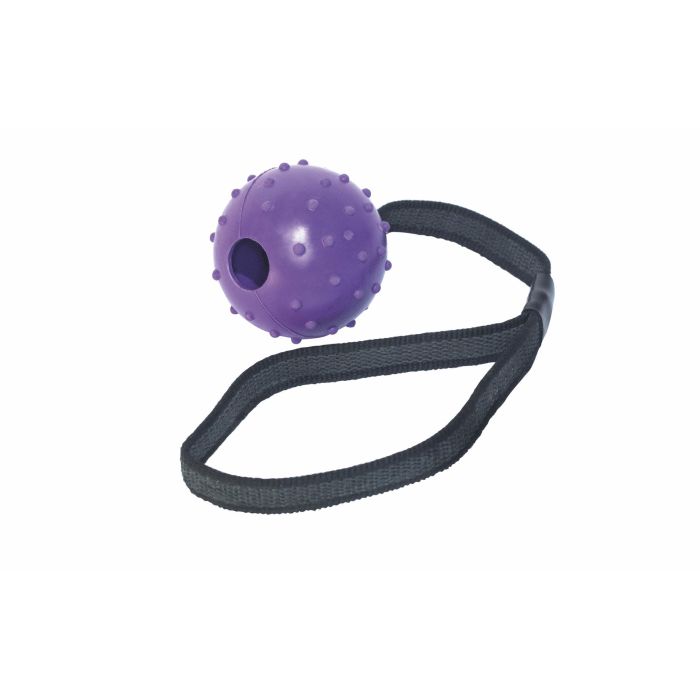 Gloria Pelota de Goma con Cinta para Perro, Flexible y Resistente, Diámetro 6 x 30 cm 2