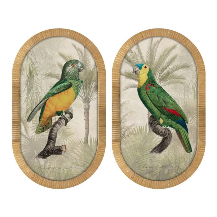DKD Home Decor Cuadro de Ratán Tropical Verde Natural con Loro 60x35 cm (2 Unidades)