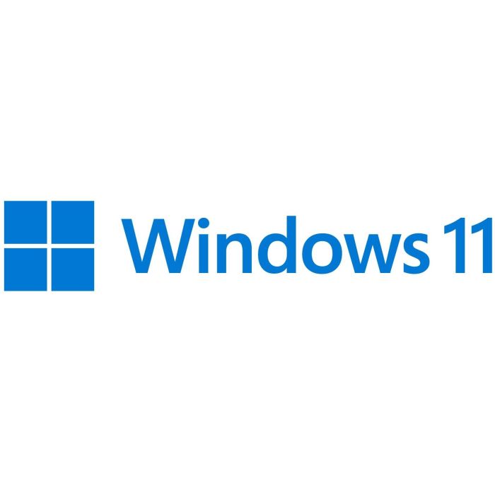 Microsoft Windows 11 Pro for Workstations Licencia DVD Inglés